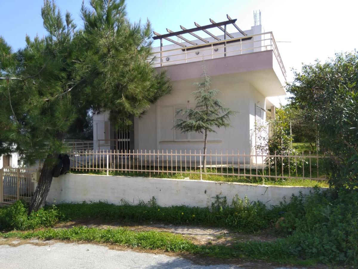 Kounoupidhianá Thanasis Villa מראה חיצוני תמונה